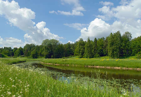 Summer landscape. River in the parkの写真素材