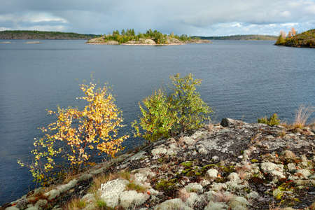 Autumn on the shores of Ladogaの写真素材
