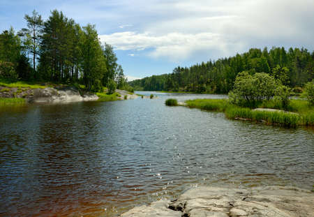 Summer landscape. Karelia, Lake Ladogaの写真素材