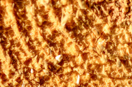 cut wood by chainsaw showing internal structureの写真素材