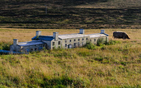 miniature building compared to cow の写真素材