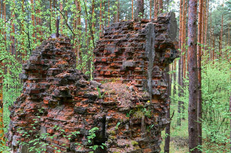 remnants of old and destroyed gunpowder magazines dated before World War I lying in forestの写真素材