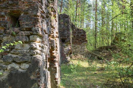 remnants of old and destroyed gunpowder magazines dated before World War I lying in forestの写真素材