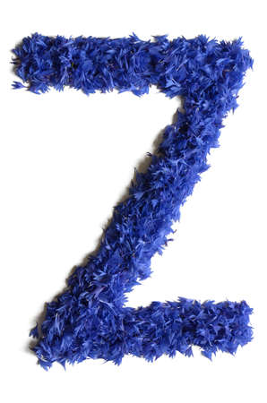 letter Z made of flowers (cornflowers) isolated on white background - stock photoの写真素材