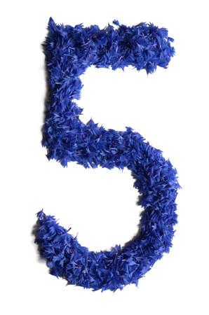 number 5 made of flowers (cornflowers) isolated on white background - stock photoの写真素材