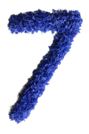 number 7 made of flowers (cornflowers) isolated on white background - stock photoの写真素材