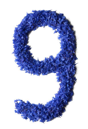 number 9 made of flowers (cornflowers) isolated on white background - stock photoの写真素材