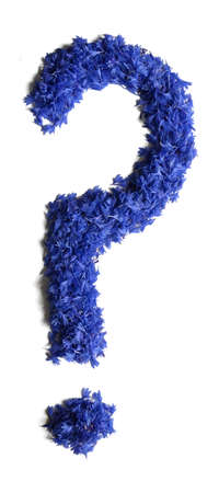 colon made of flowers (cornflowers) isolated on white background - stock photoの写真素材