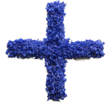 plus sign made of flowers (cornflowers) isolated on white background - stock photoの写真素材