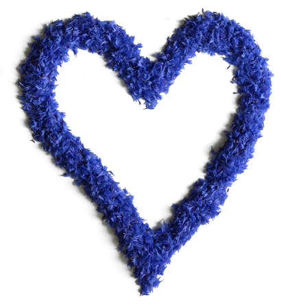 heart shape made of flowers (cornflowers) isolated on white background - stock photoの写真素材
