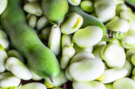 closeup of broad bean - background, texture - stock photoの写真素材