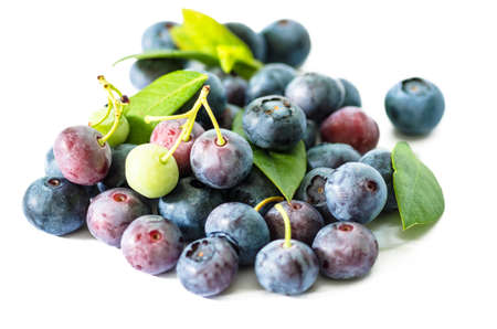 pile of blueberries isolated on white background の写真素材