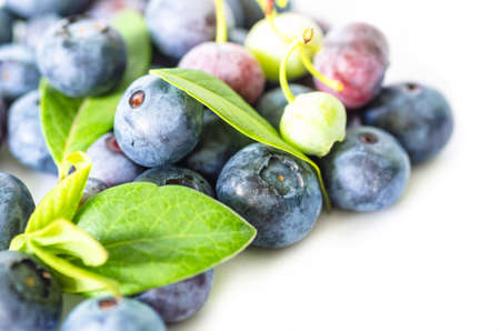pile of blueberries isolated on white background の写真素材