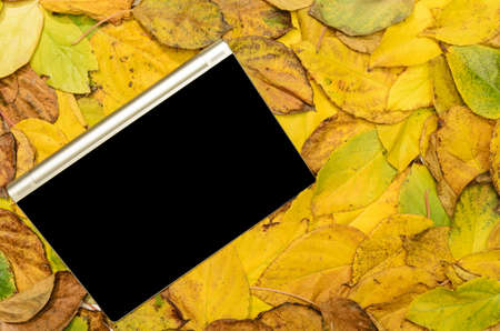 tablet pc lying on background made of autumn leaves - stock photoの写真素材