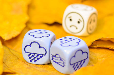 depressing and sad weather of autumn shown on dice weather lying on yellow leaves  - rain and fog - stock photoの写真素材