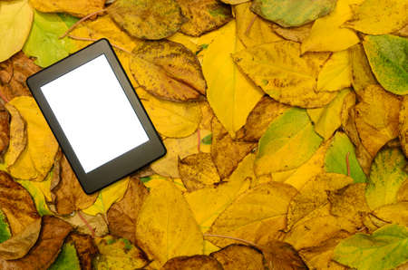 ebook reader lying on autumn leaves background - stock photoの写真素材