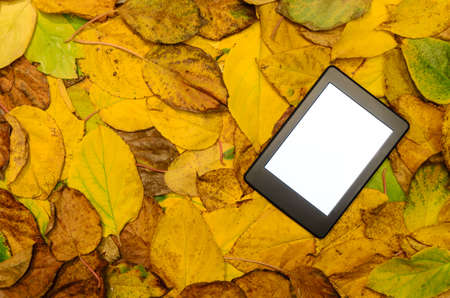 ebook reader lying on autumn leaves background - stock photoの写真素材