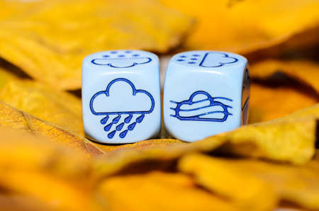 weather of autumn shown on dice weather lying on yellow leaves  - rain and fog - stock photoの写真素材