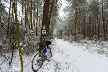 bike off the trail buried in snow in winter scenery - stock photoの写真素材