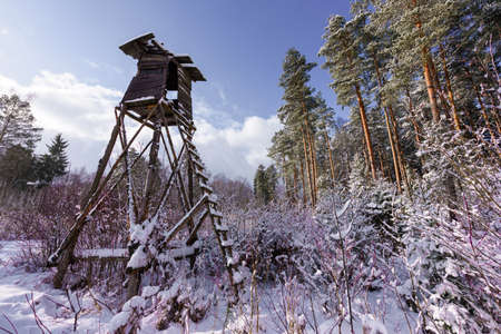 hunting tower near edge of the forest in winter - stock photoの写真素材