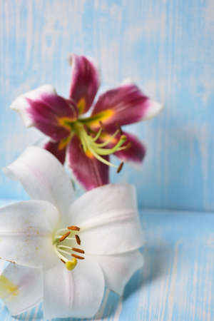 Lilies on the tableの写真素材