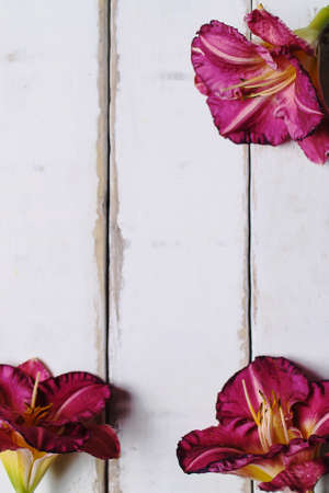 Frame of flowers on the tableの写真素材