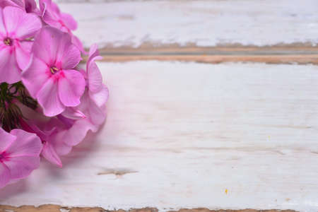 Pink flowers on a wooden tableの写真素材