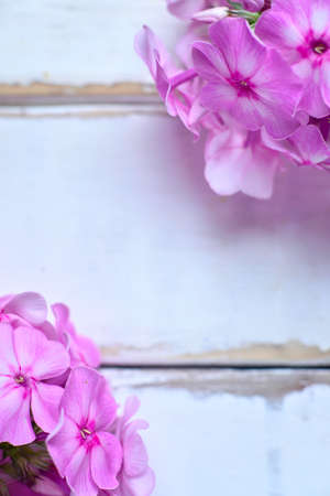 Pink flowers on a wooden tableの写真素材