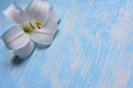 Lilies on the tableの写真素材