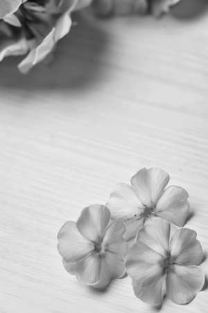 Flowers on a wooden tableの写真素材