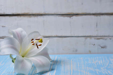 Lilies on the tableの写真素材