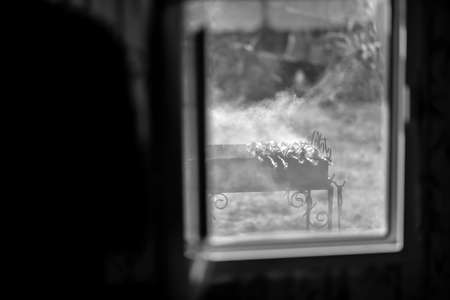 The kebabs are cooked outdoorsの写真素材