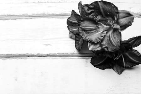 Flowers on a wooden table black and white posterの写真素材