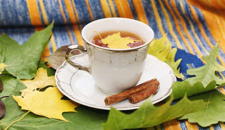 Autumn leaves and tea on a plaidの写真素材