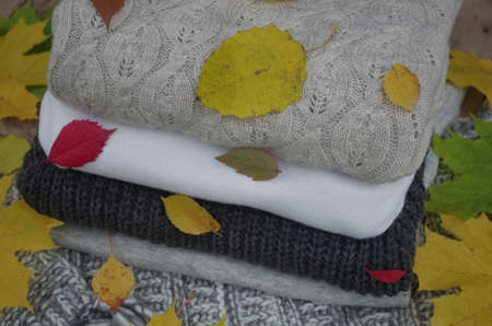 Knitted sweaters and fallen yellow leaves