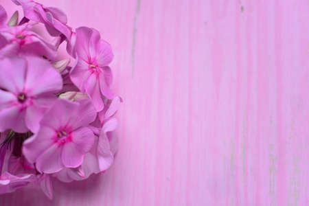 Pink flowers lying on a wooden tableの写真素材