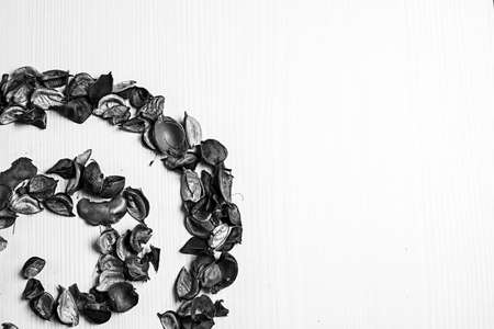 The frame of dried flowers black and white posterの写真素材