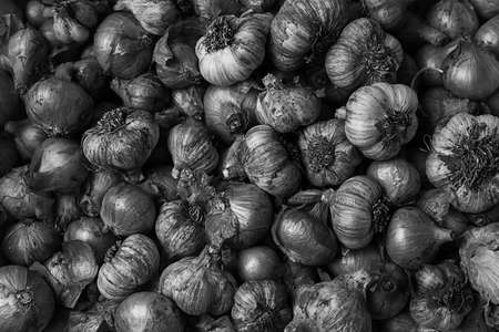 Garlic lying on the table. Food in the house. Medication againstの写真素材