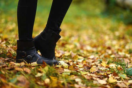 Boots for a walk in the Park. Autumn forest is beautiful. Yellowの写真素材