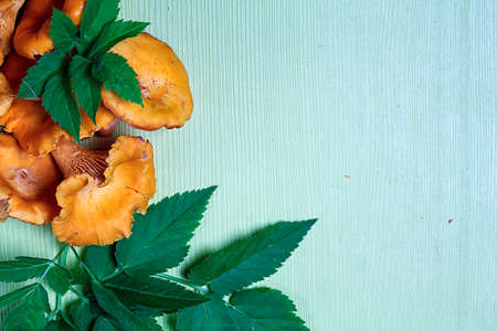 mushrooms are on the table by the handful