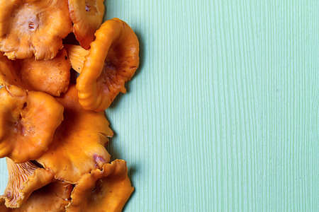 mushrooms are on the table by the handfulの写真素材