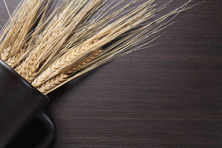 Fresh baked bread with ears of wheat. Wheat yellow. Breakfast isの写真素材