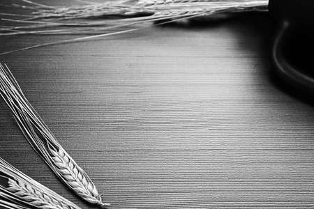 Fresh baked bread with ears of wheat. Wheat yellow. Breakfast isの写真素材