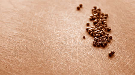Cinnamon sticks lying on the table in the kitchen. の写真素材