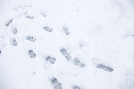 Dirty footprints in the snow winter. Track from bootsの写真素材