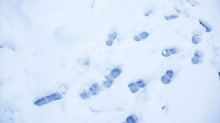 Dirty footprints in the snow winter. Track from boots on the traの写真素材