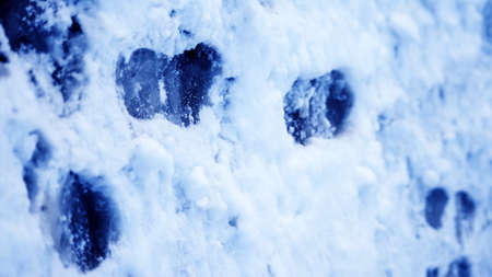 Dirty footprints in the snow winter. Track from boots on the traの写真素材