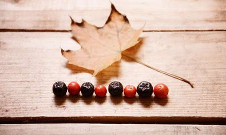 Maple leaves autumn on a backgroundの写真素材