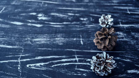 Composition of fir cones on the table. の写真素材