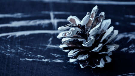 Composition of fir cones on the table. の写真素材